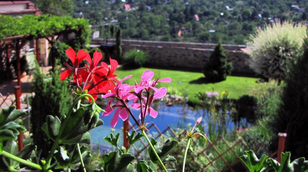 Penzion Kaplanka Znojmo Kültér fotó